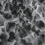 Microscopic view of a rough dental implant surface