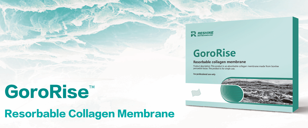 Knochenmembranen